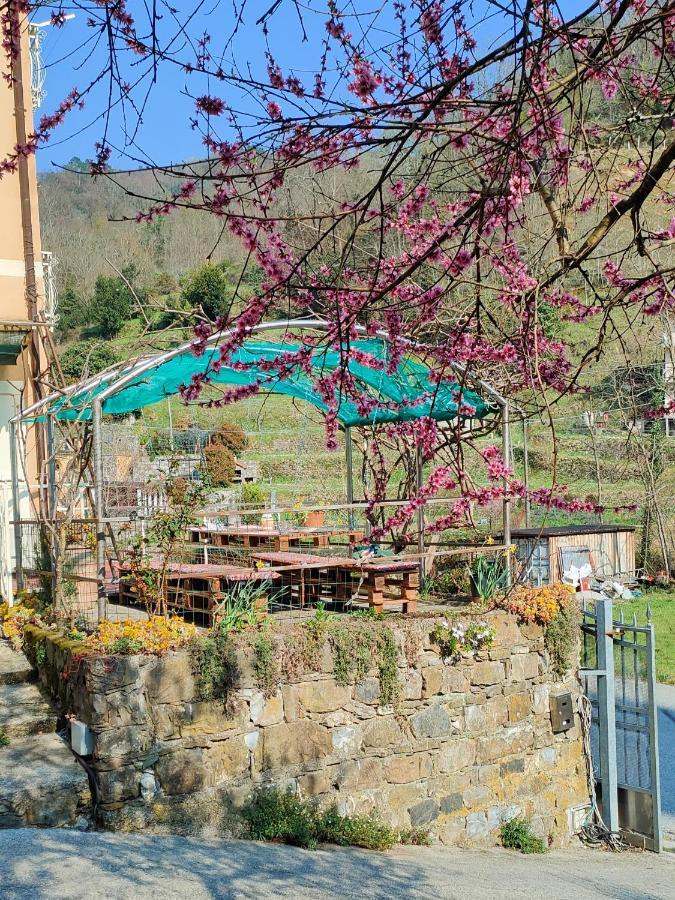 Apartamento Ca Di Nonni Chiesanuova  Exterior foto